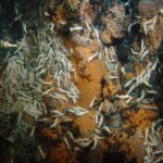 Deep ocean water in darkness