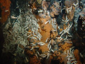 Deep ocean water in darkness